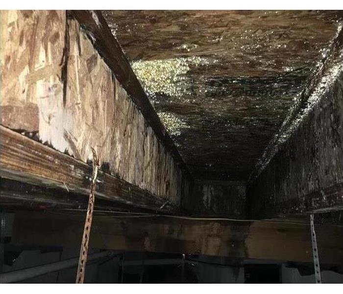 Mold on plywood in a crawlspace. 