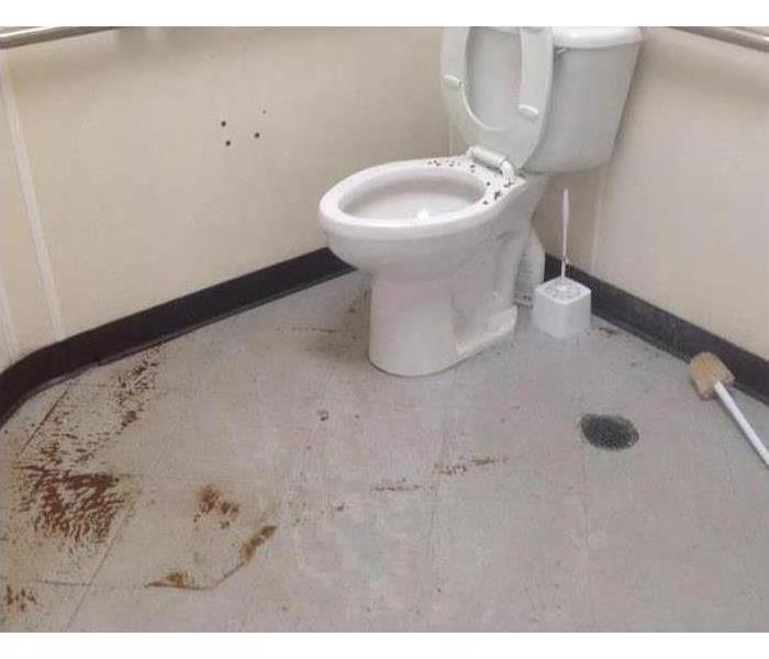 Bathroom with sewage water on the floor.