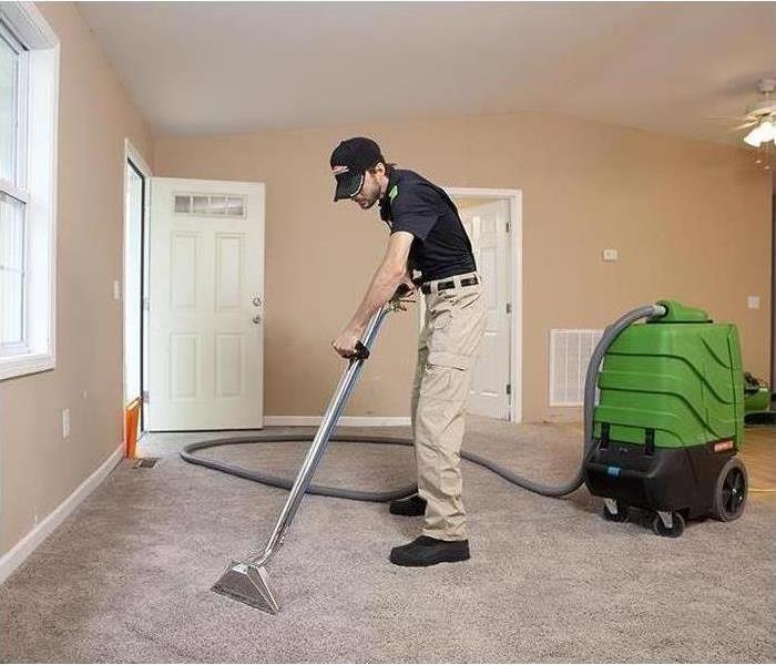 Technician cleaning carpet.
